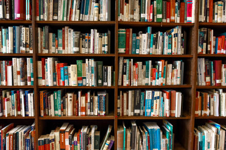 El hombre que tenía cincuenta mil libros y no los había leído todos
